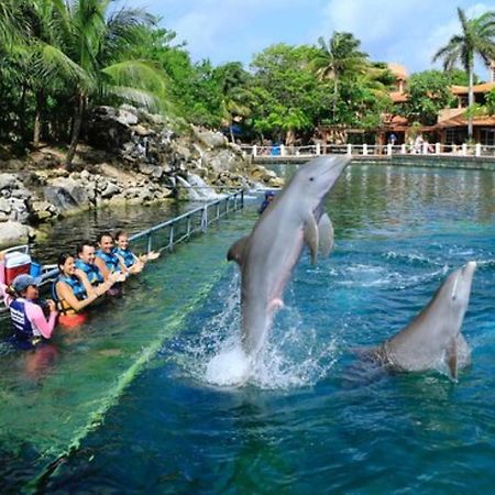 Increible Estudio En Puerto Aventuras, Condominio Con Alberca # 201 Ngoại thất bức ảnh